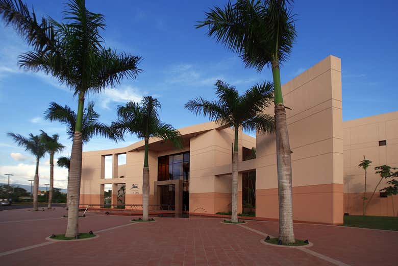 Imagen 5