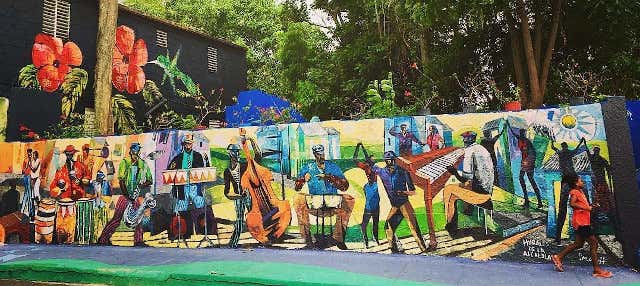 Tour privato dei murales di Los Pepines