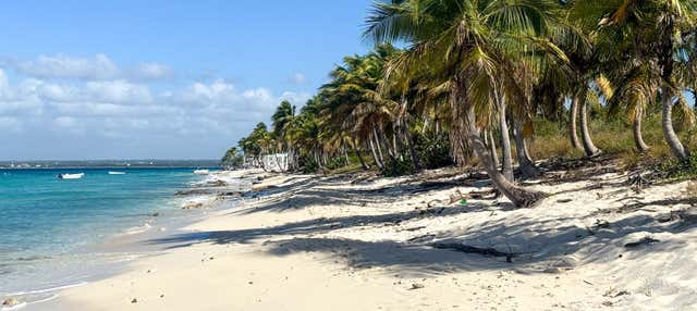 Escursione a Isla Catalina