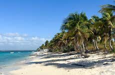 Excursão à Isla Catalina