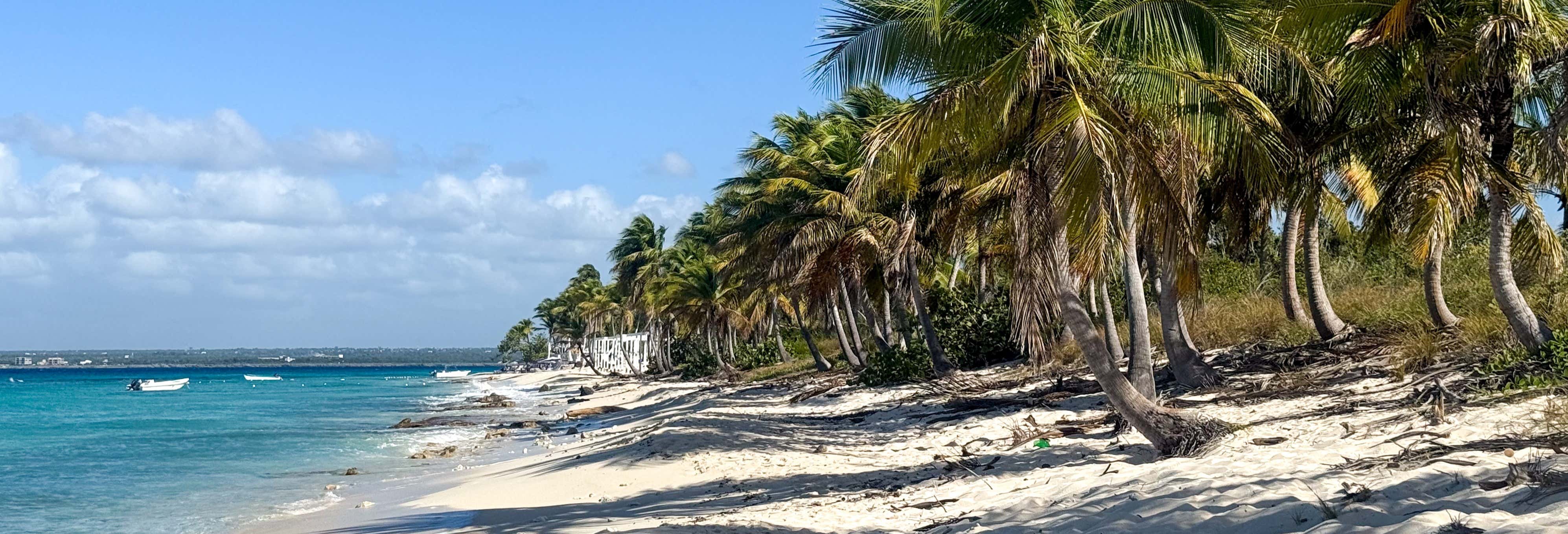 Escursione a Isla Catalina