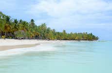 Saona Island Catamaran Tour