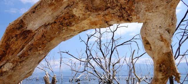 Escursione al lago Enriquillo