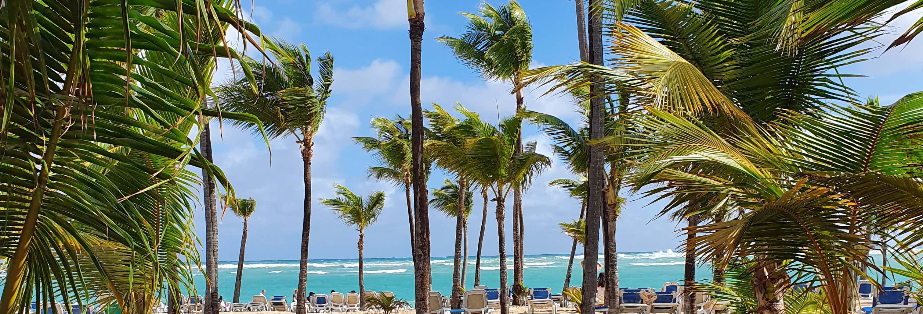 Escursione a Punta Cana + Tour in buggy