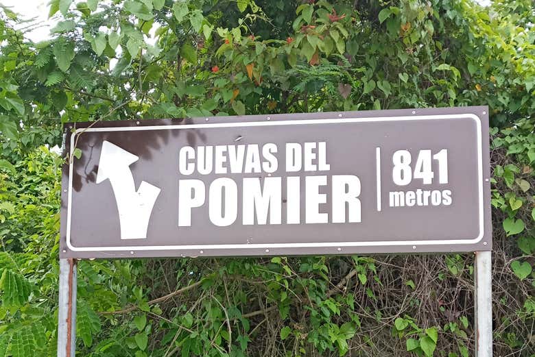 Imagen 5