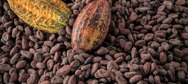 Tour del cacao e del caffè