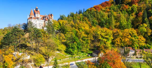 Escursione privata da Brașov