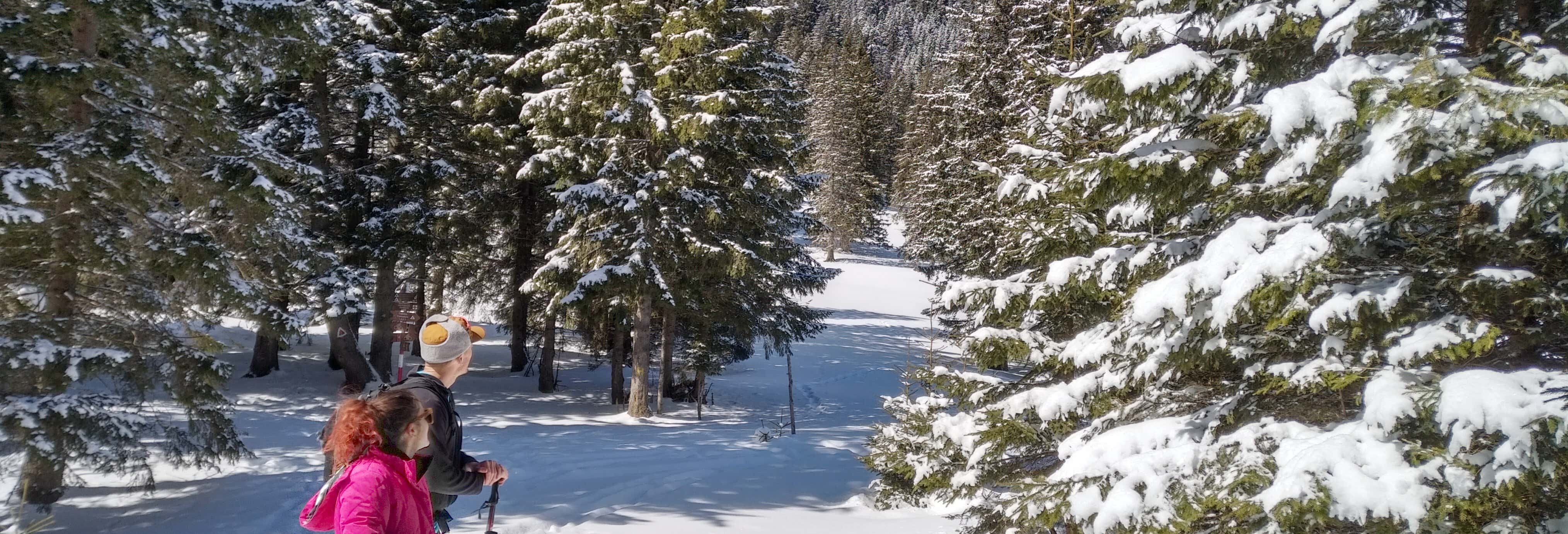 Trekking al Parco nazionale Piatra Craiului