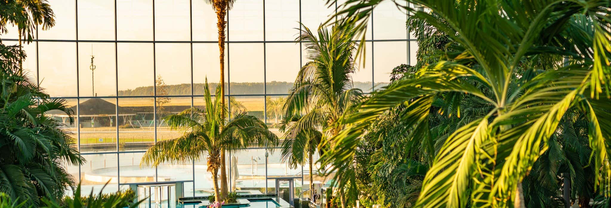 Escursione al centro benessere Therme