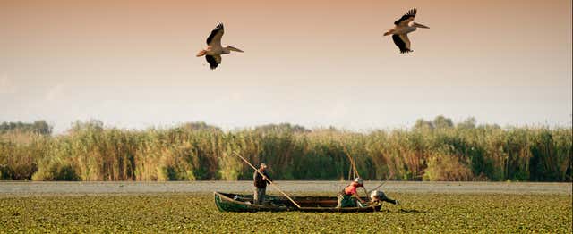 Excursion au delta du Danube