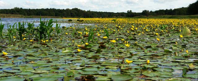 Mer Noire et delta du Danube en 2 jours