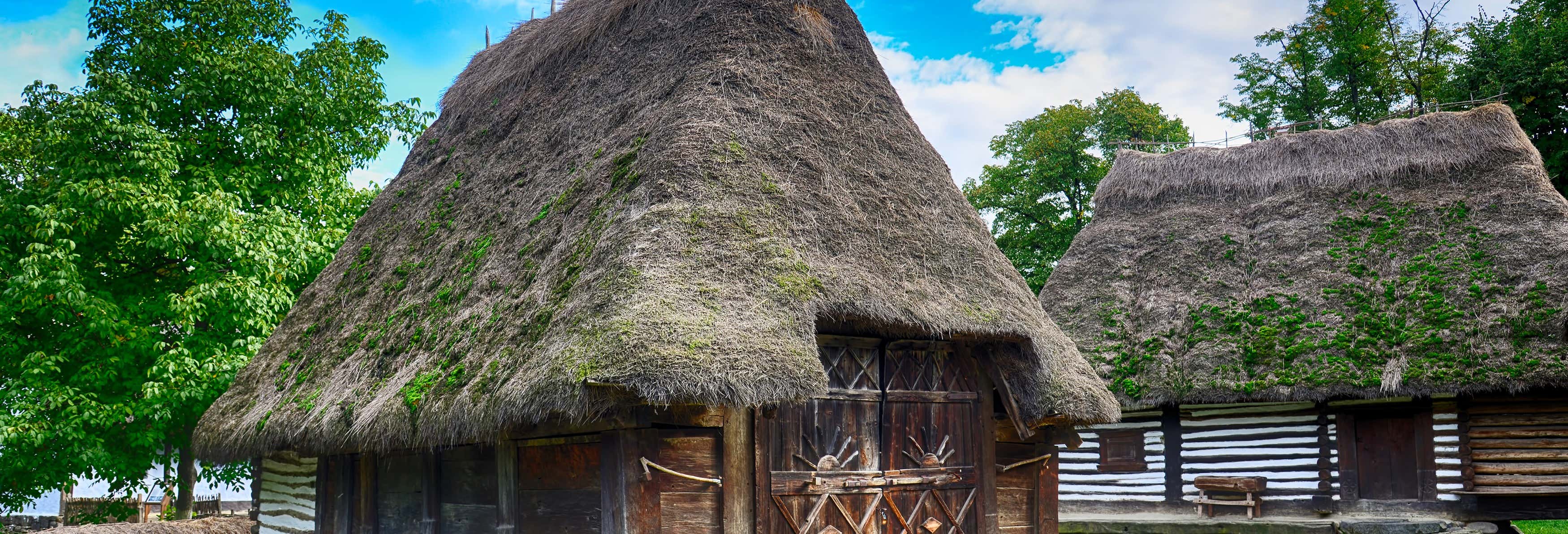 Village Museum + Herastrau Park Tour