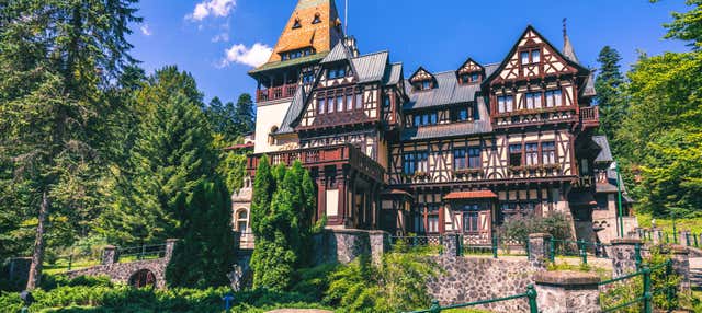 Biglietti per il Castello di Pelisor