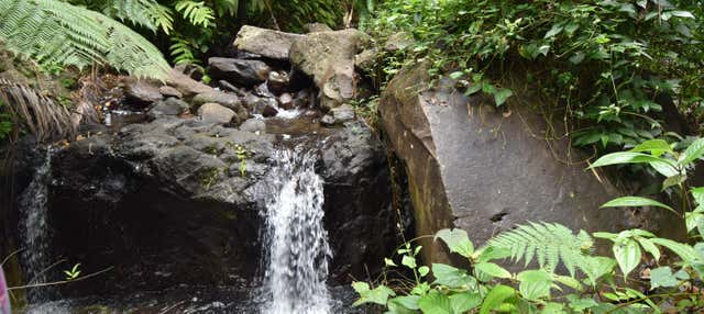 Escursione alle cascate di Dark View