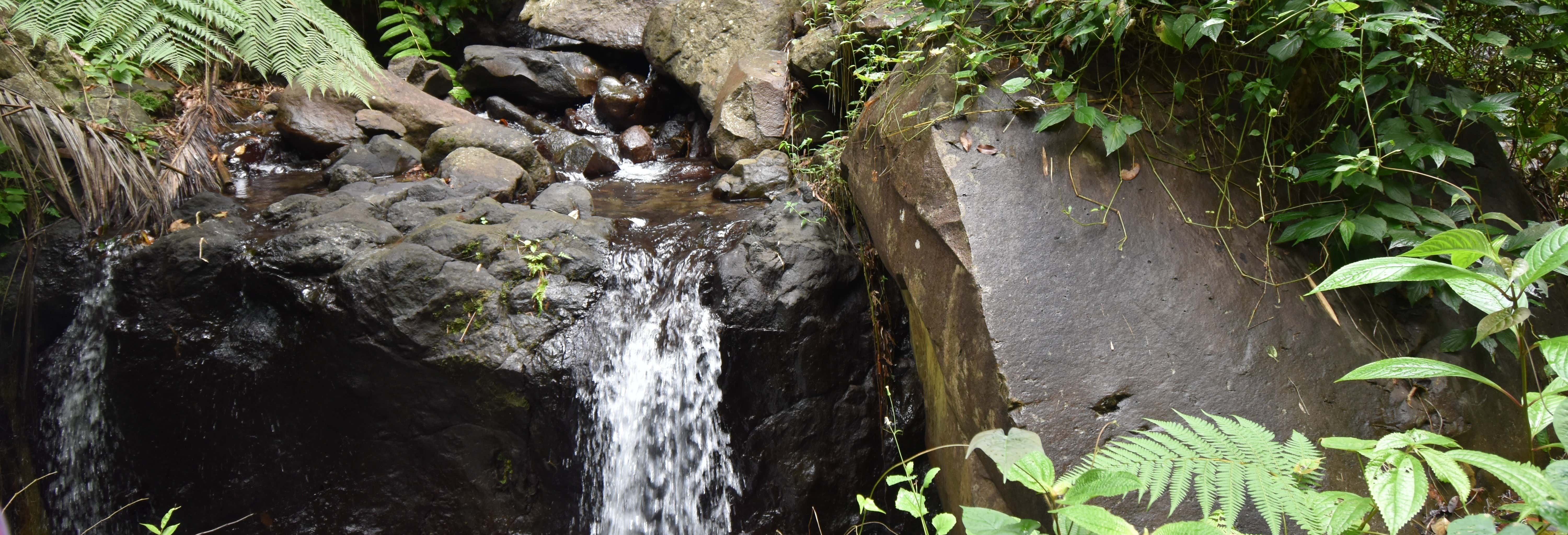Escursione alle cascate di Dark View