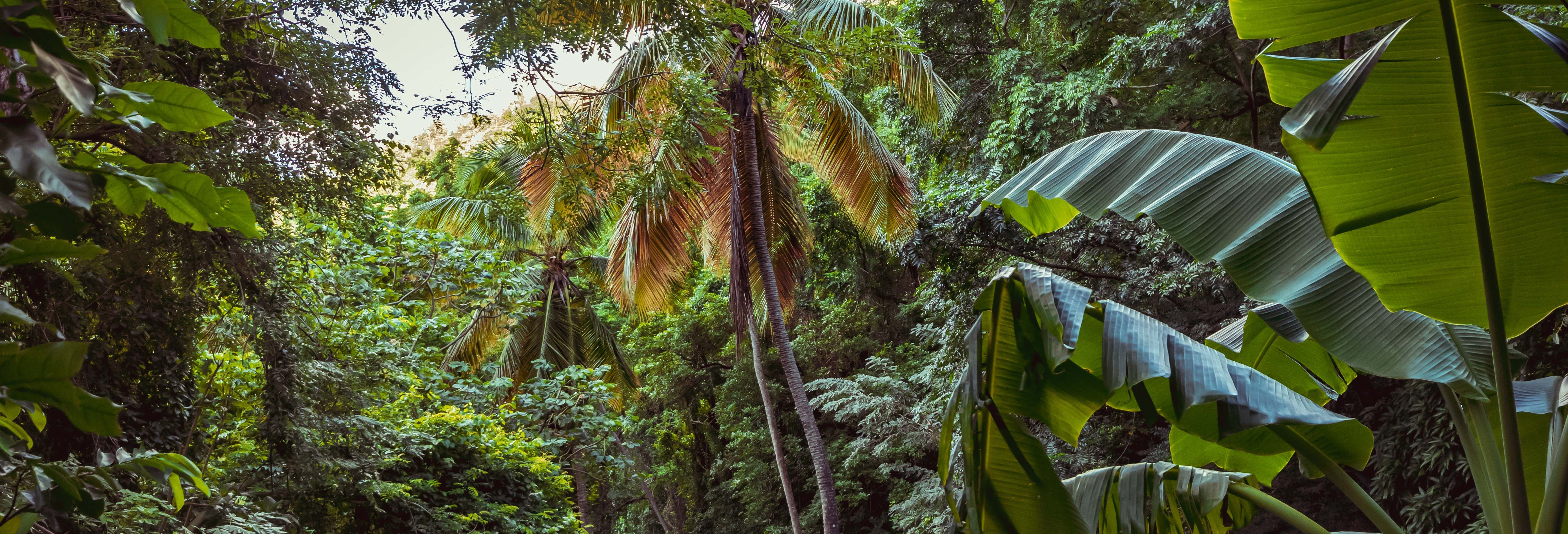 Escursione a Vermont Nature Trail