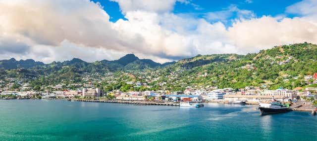 Visita guidata di Kingstown