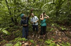 Castries Waterworks​ Bird Watching