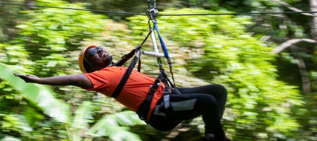 Escursione al parco avventura Rainforest Santa Lucía