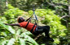Rainforest Adventures Saint Lucia Day Trip
