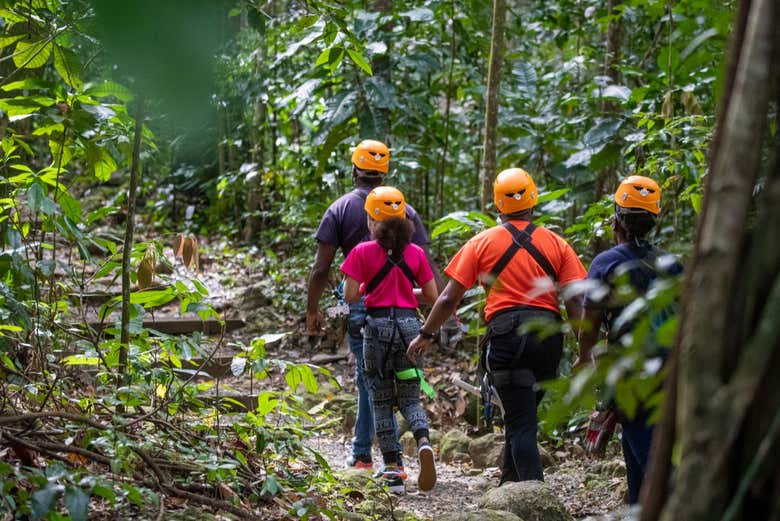 Senderismo rodeados de selva - Senderismo rodeados de selva