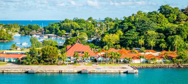 Tour dei mercati di Castries + Visita alla distilleria Santa Lucía