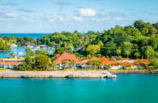 Castries Markets + St. Lucia Distillery Tour