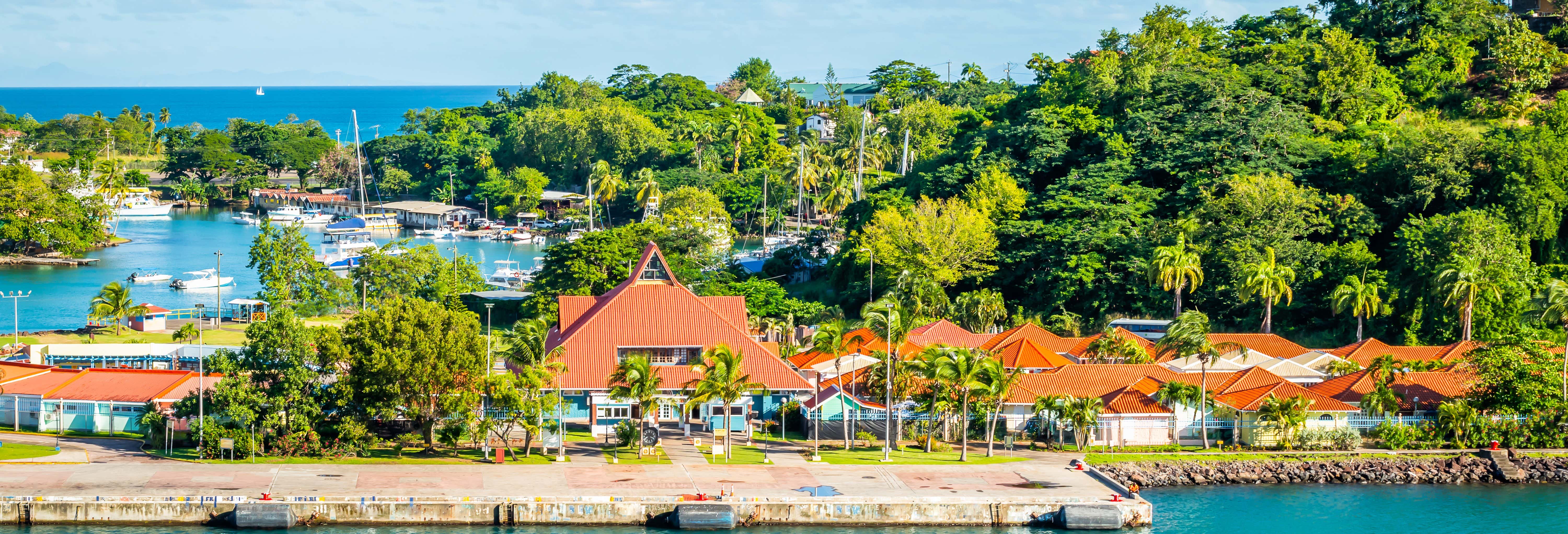 Tour dei mercati di Castries + Visita alla distilleria Santa Lucía