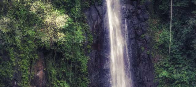 Excursión a Monte Café, cascada de São Nicolau y Jardín Botánico de Bom Sucesso