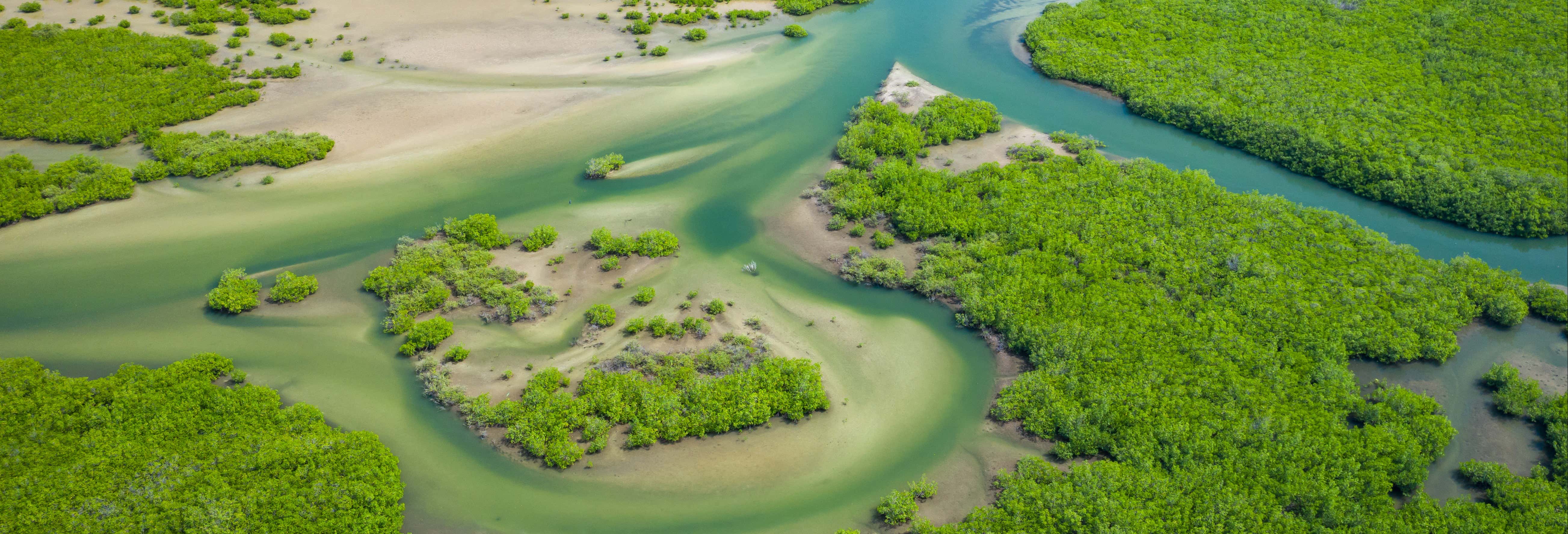 Escursione al delta del Salum