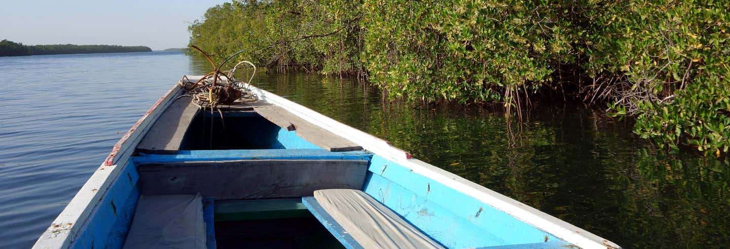 Escursione privata al Delta del Saloum