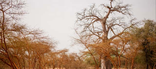 Escursione privata alla Riserva di Bandia e al Lago Retba