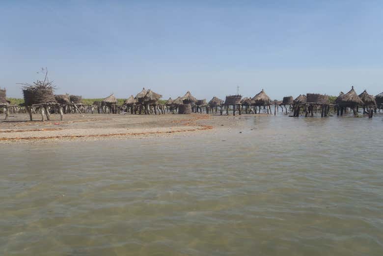Imagen 3