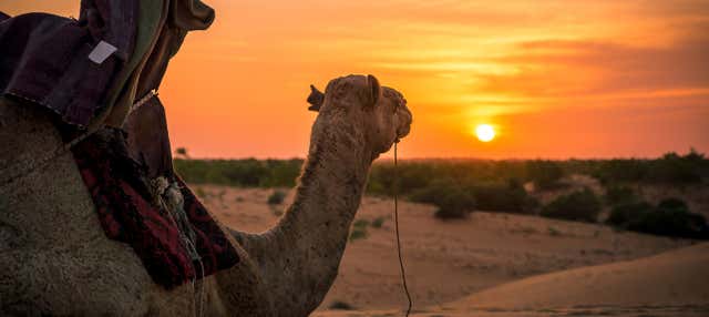 Deserto di Lompoul e delta dei fiumi Senegal e Salum in 10 giorni