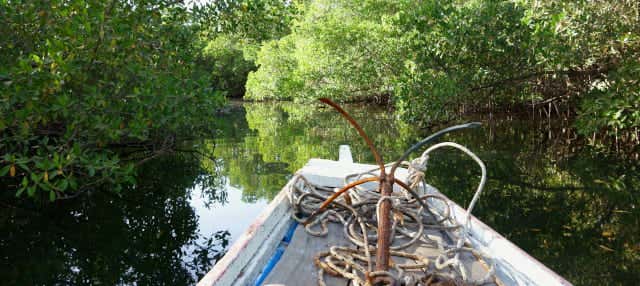 Escursione privata al Delta del Saloum