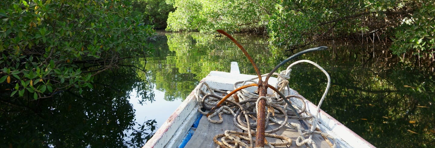 Saloum Delta Private Tour