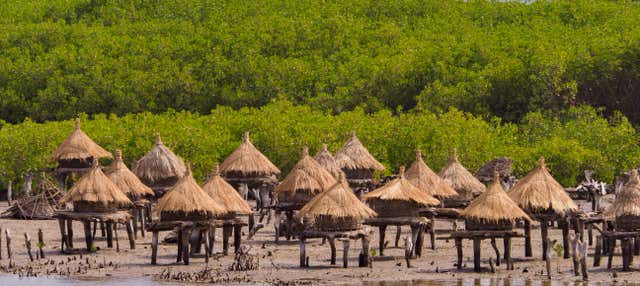 Escursione a Joal Fadiouth e al delta del Salum