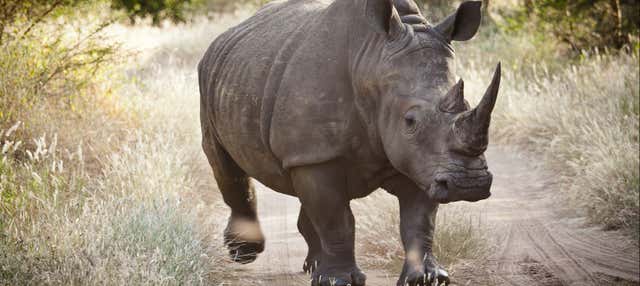 Escursione privata alla Riserva di Bandia e al Lago Retba
