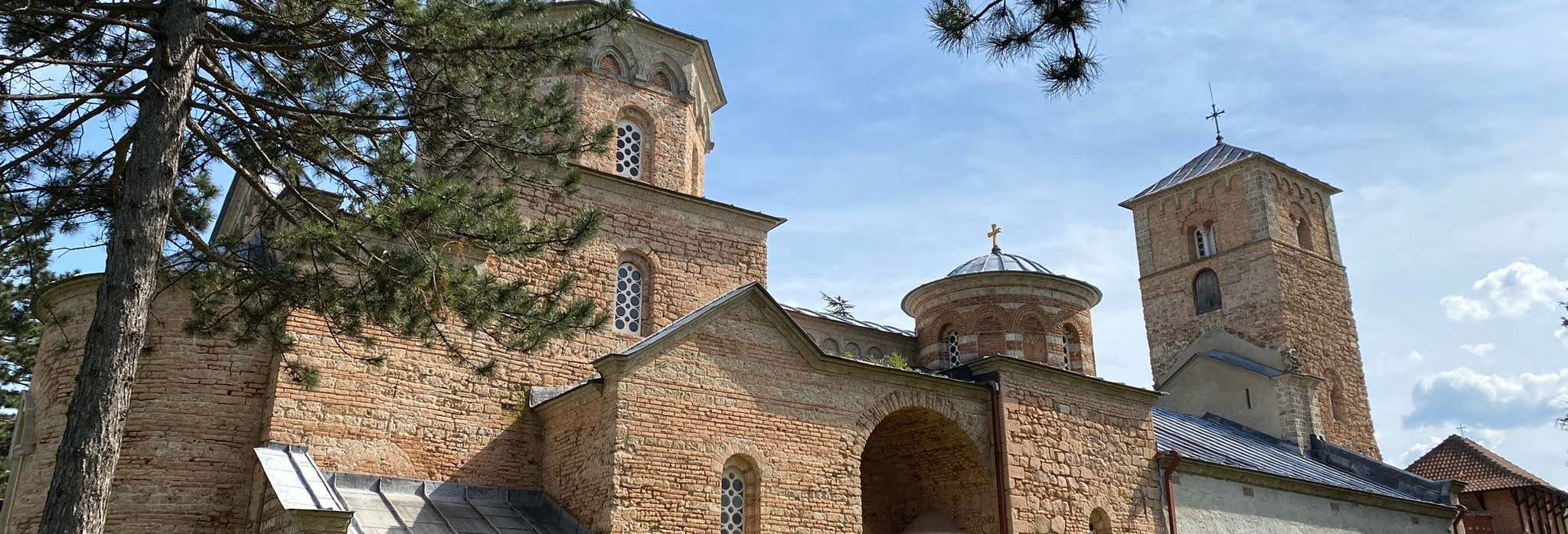 Escursione ai monasteri di Žiča e Studenica