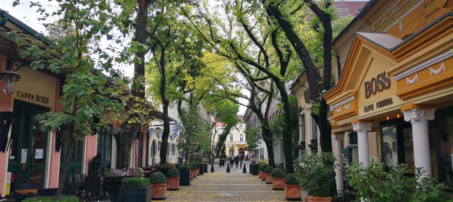 Escursione a Subótica e al lago Palić