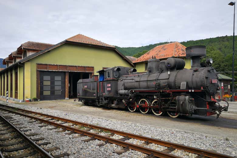 Imagen 6