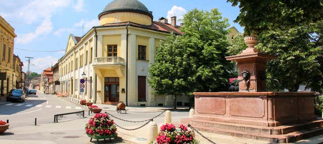 Visita guiada por Sremski Karlovci