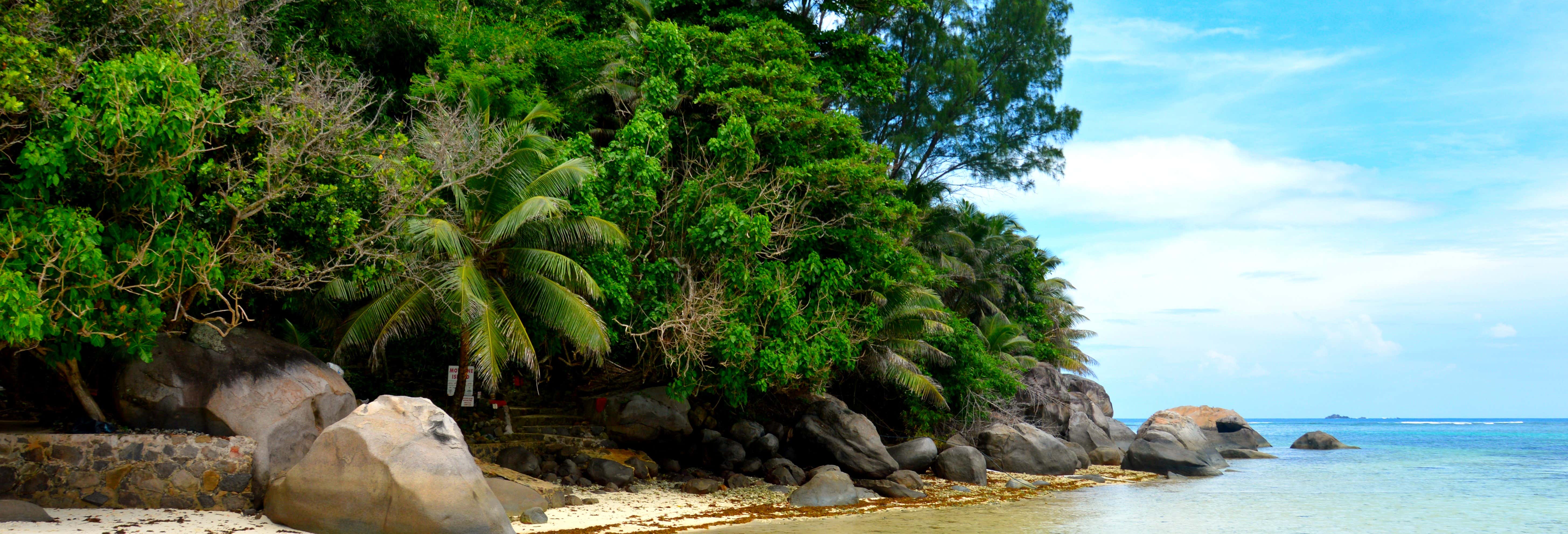 Escursione all'isola di Moyenne + Snorkeling e pranzo al ristorante Jolly Roger
