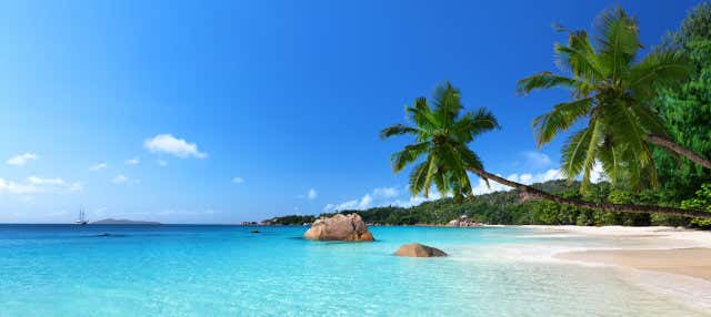 Escursione a Anse Lazio e Valle de Mai