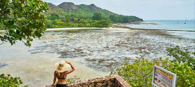 Escursione alle isole di Curieuse, Cousin e Saint Pierre