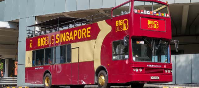Autobus turistico di Singapore