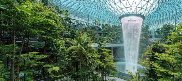 Biglietti per il Canopy Park dell'aeroporto di Singapore