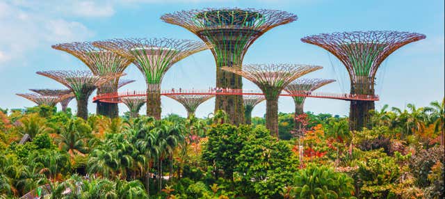 Biglietti per Gardens by the Bay