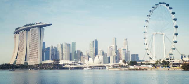 Biglietti per la Singapore Flyer