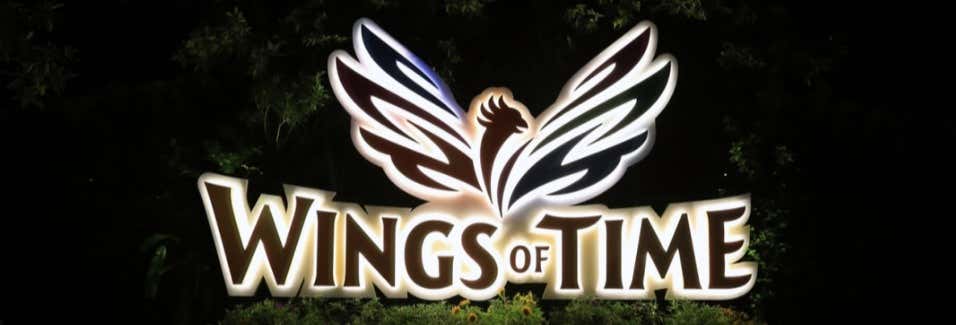 Ingresso do espetáculo Wings of Time Fireworks Symphony